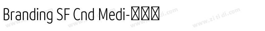 Branding SF Cnd Medi字体转换